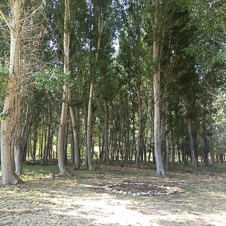 Cabana Ecologica อุสปายาตา ภายนอก รูปภาพ